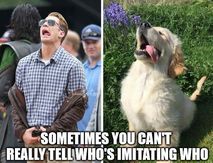 Cant really tell memes